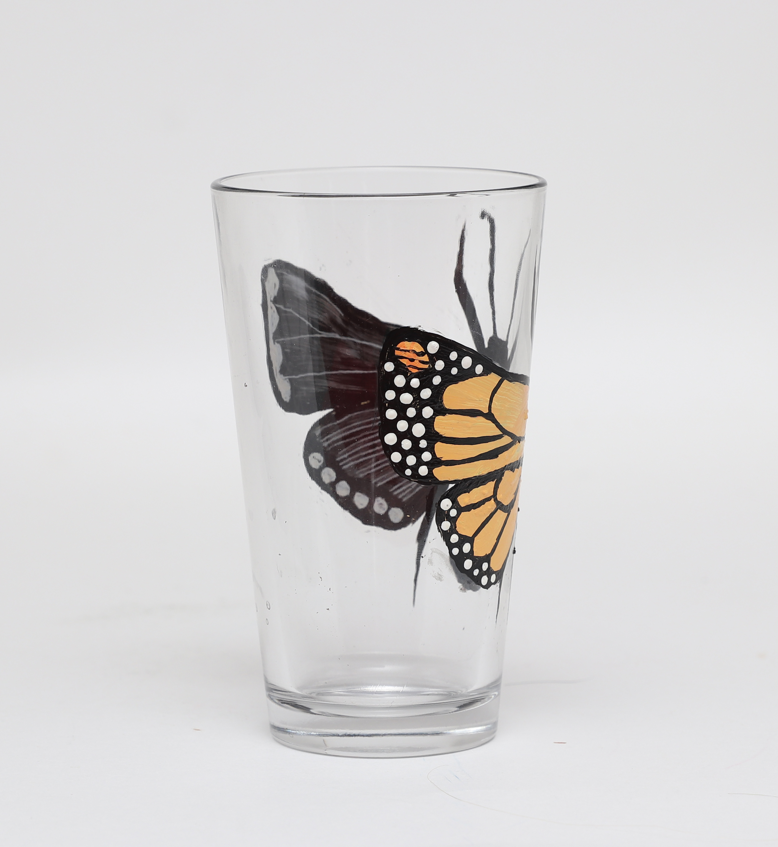 Monarch/Moth