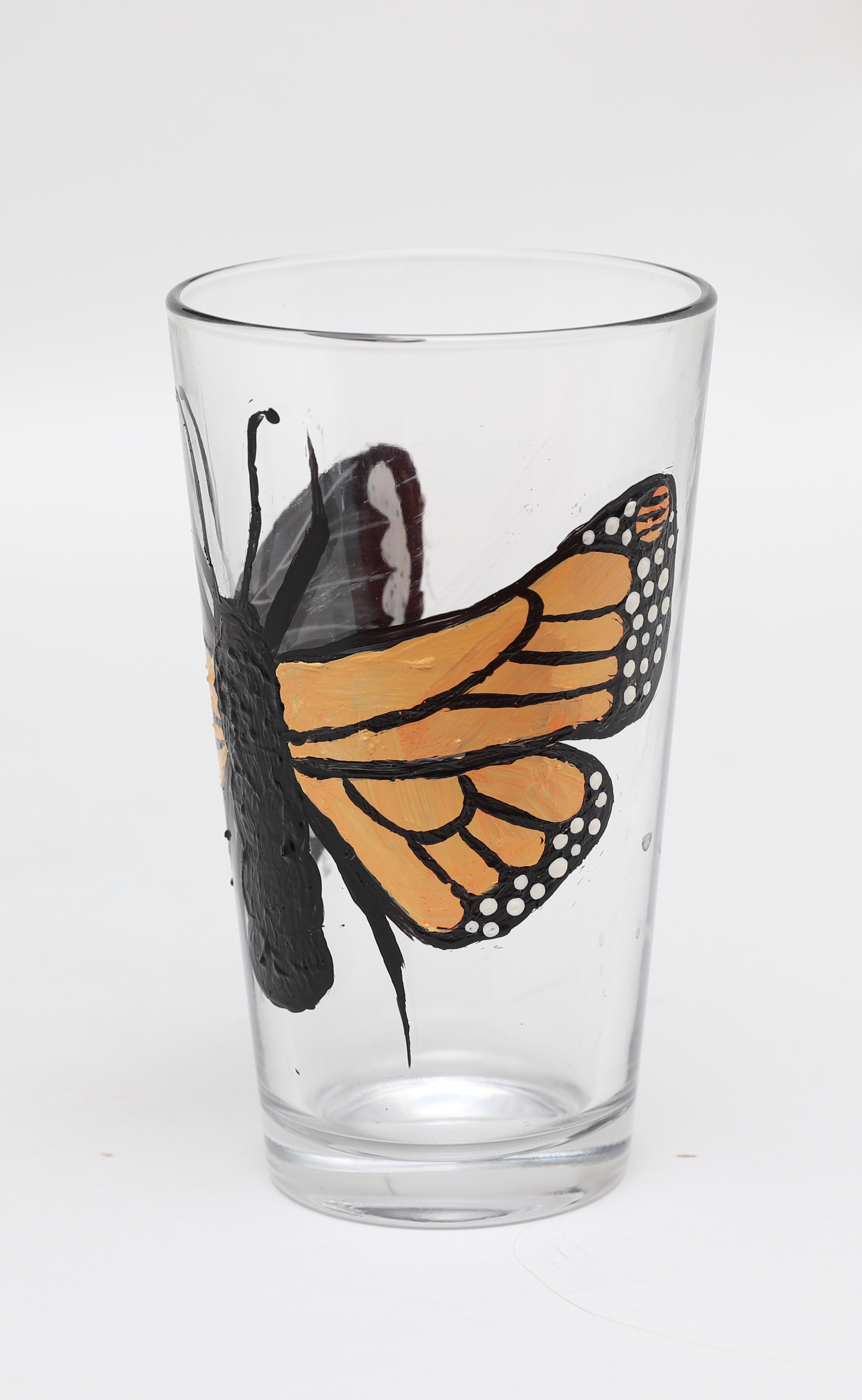 Monarch/Moth