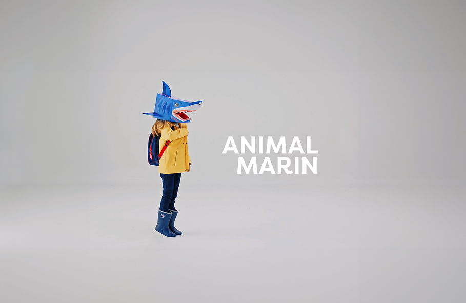 Capture d’écran 2024-09-30 à 12.58.23.png