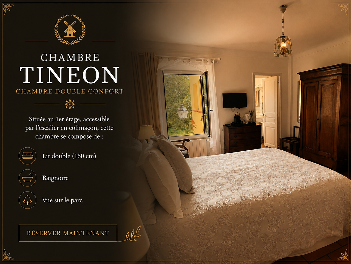 Tinéon's Room Banner