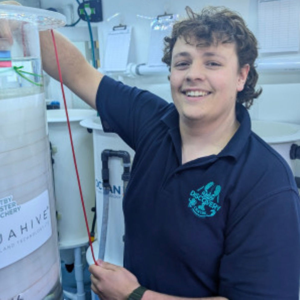 A distinguished portrait of Joe Moody, the head aquaculturist at Whitby Lobster Hatchery & today’s interviewee. Credit to Joe Moody.