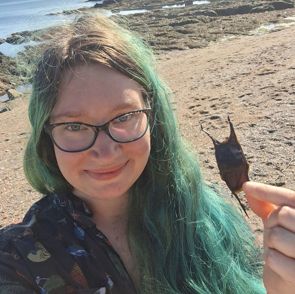 “There Is A Place For Everyone In The Ocean”, An Interview with Marine Scientist & Accessibility Advocate, Freya Longden