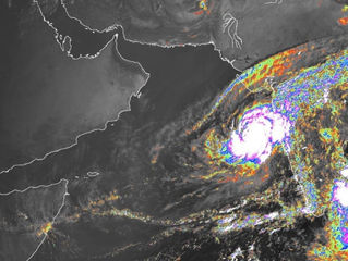 Yemeni Government plans to deal with cyclone Kyarr