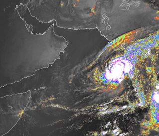 Yemeni Government plans to deal with cyclone Kyarr