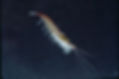 A photograph of a krill swimming in a vast ocean. Credit to National Geographic.