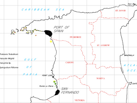The Oceans Surrounding Trinidad