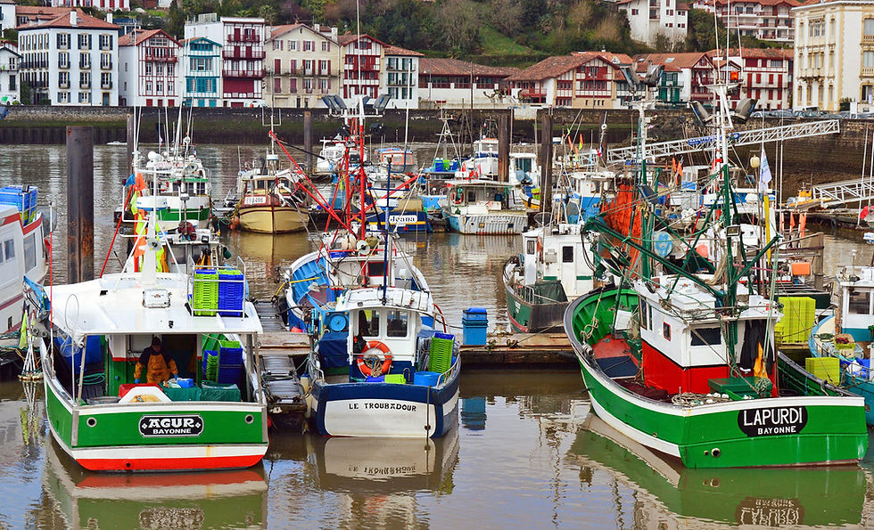 A photograph of the port at Saint-Jean-de-Luz filled with fishing boats. The fish markets of Saint-Jean-de-Luz are renowned for their premium seafood.