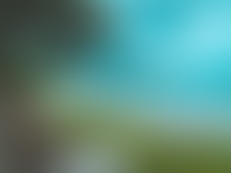 The History Of The Swaraj Dweep / Havelock Island, India - An Island of Beauty