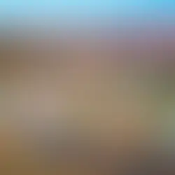 The Oceans Surrounding Chiloe Island, Chile