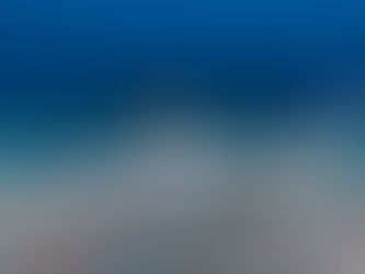 The Galapagos Shark of San Cristóbal Island (Carcharhinus Galapagensis)