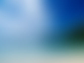 The Broadclub Cuttlefish Of Havelock Island, India (Sepia Latimanus)