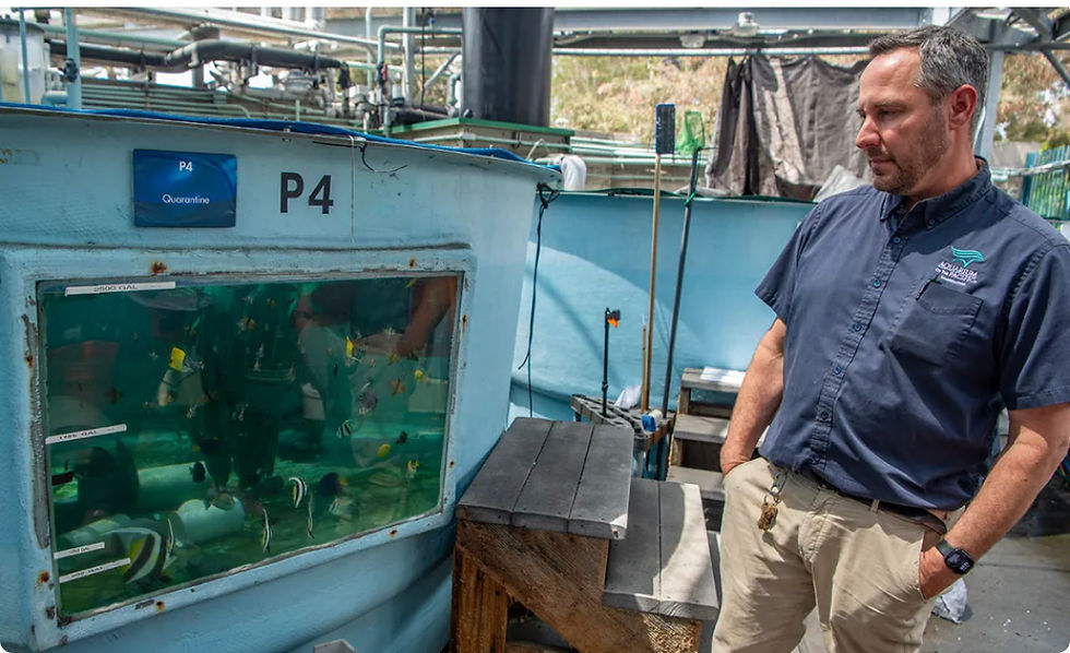 A distinguished photograph of Nate Jaros, Vice President of Animal Care at the Aquarium of the Pacific looking after 500 of the 2,000 seized specimens intercepted in Long Beach on June 19th, 2026.