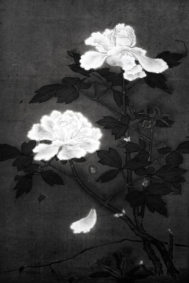 Funda in Temple Kyoto