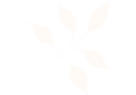 plant2_edited.png
