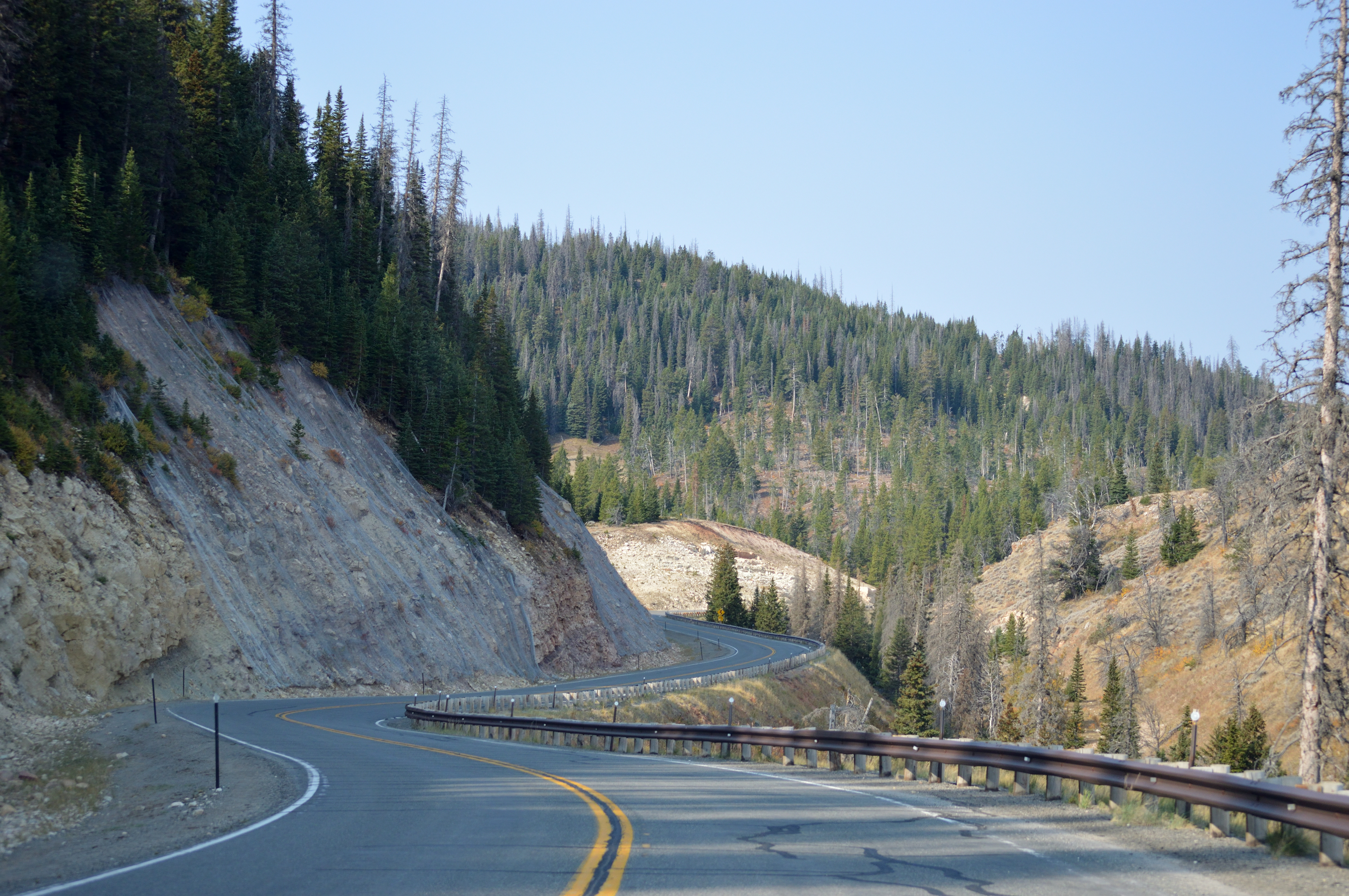 Winding Road