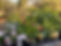 8E04FC17-D166-49A7-88A8-1C6ED98D5EF6.JPG