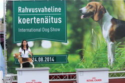 Выставка в Эстонии, Таллин