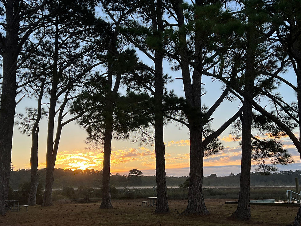 Nags Head Woods Preserve