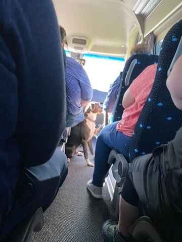Leaving Room for the Unexpected.
