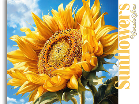 Sunflowers 2