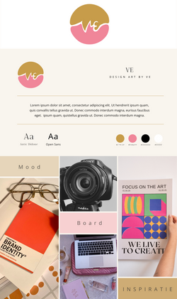 VE logo Guide Brand Board