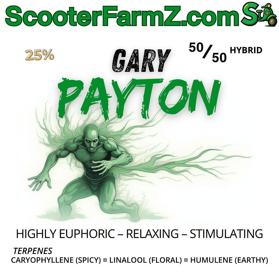 Creative Culture Collectibles "GARY PAYTON" Art Print