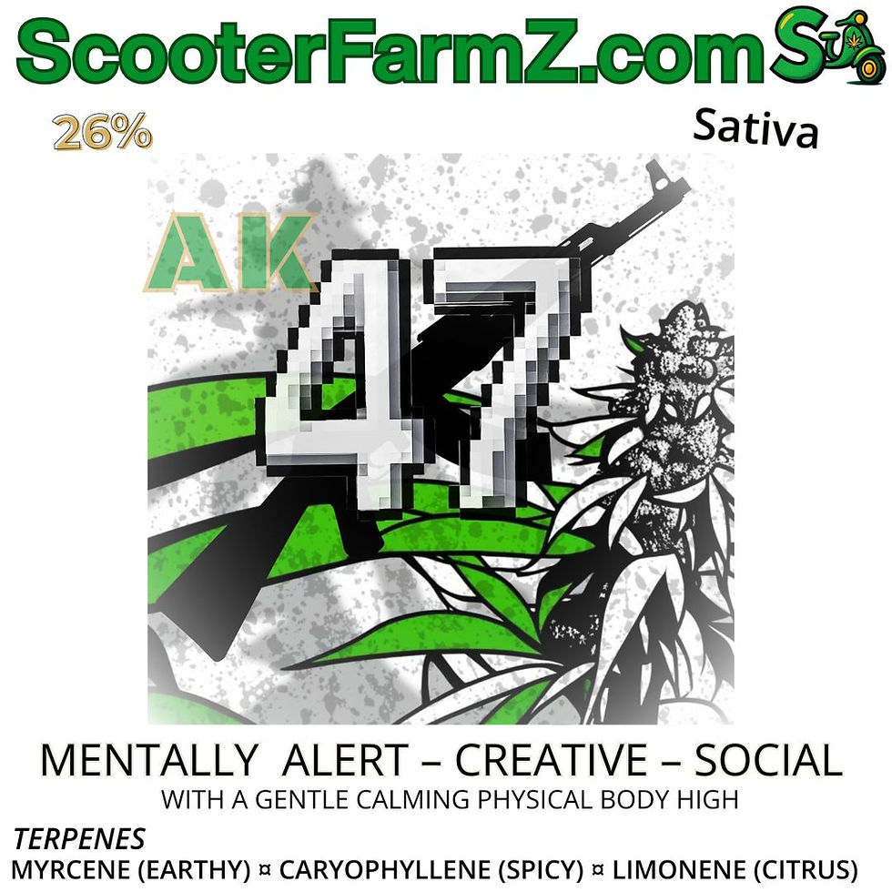 Creative Culture Collectibles "AK-47" Art Print