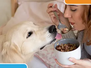 The Importance of Prebiotics for Humans and Pets Alike