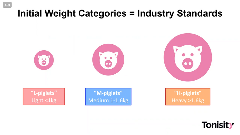 Piggability Improving the chances of piglet survival