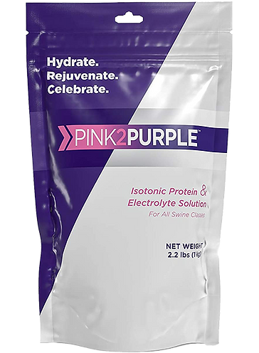 Pink2Purple-Bag_big.png