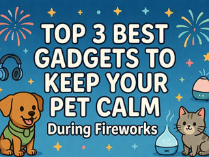 cartoon cat and cartoon dog with cartoon gadgets and the words top 3 best gadgets to keep your pet calm during fireworks
