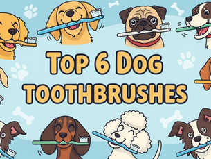 cartoon dogs with cartoon toothbrushes in their mouths and the words top 6 dog toothbrushes