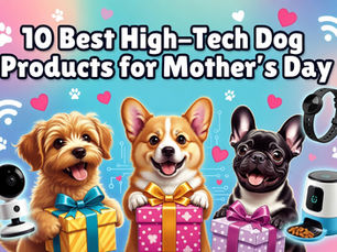 cartoon dogs holding gifts with the words best high-tech dog products for mother's day