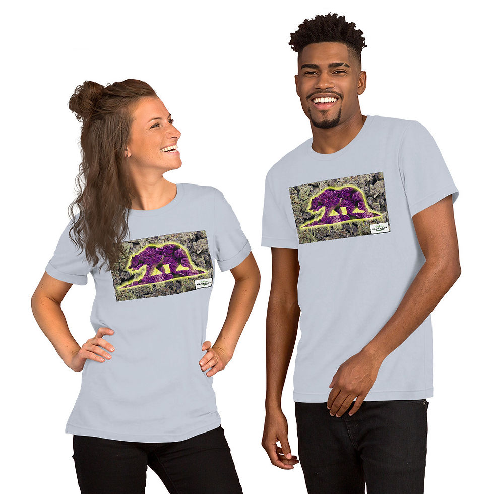 Thumbnail: Cali Vibes Bear (T-shirt)