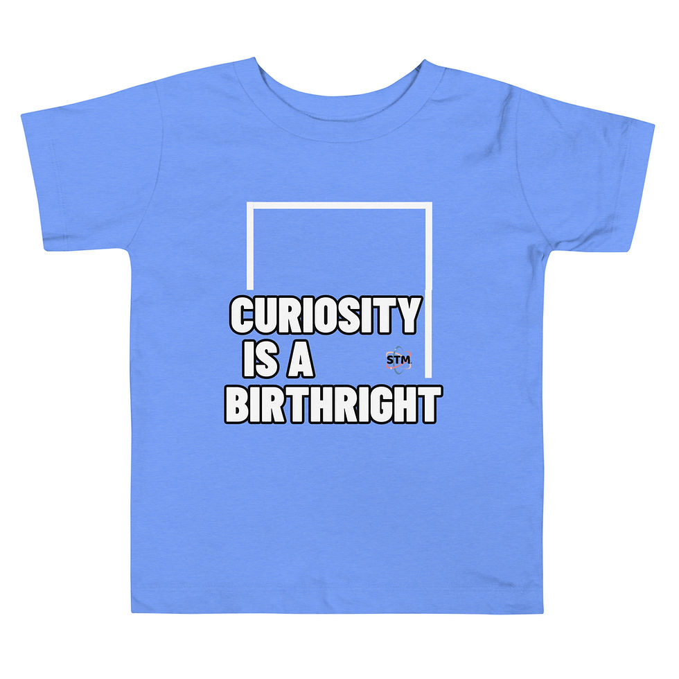 Thumbnail: Curiosity Is a Birthright™ Toddler Tee