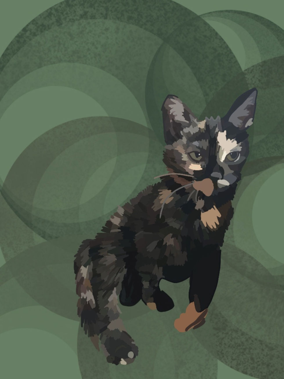 Turtle Cat
