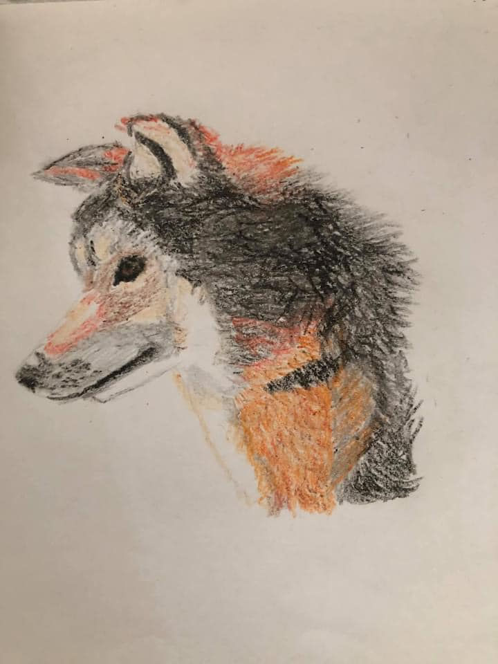 red wolf.jpg