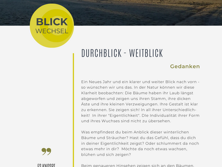 Weitblick im Winter