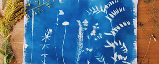 cyanotype sml.jpg