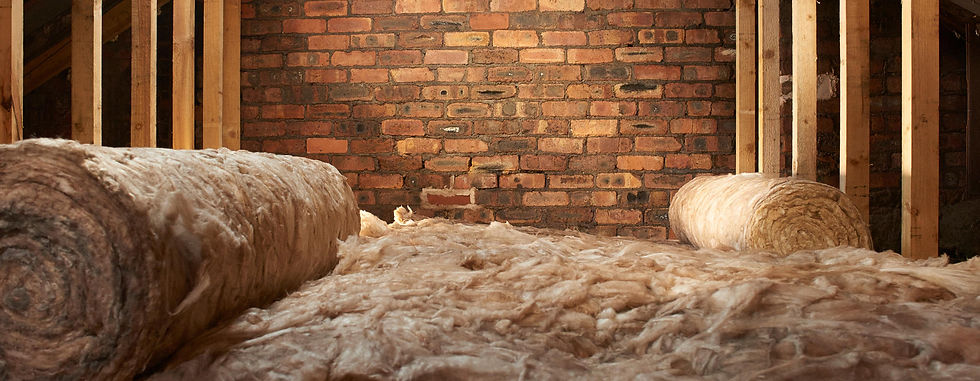 Wonder Walls for web.jpg