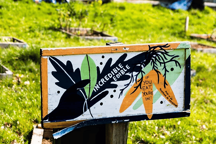 4.3 Carrot Sign.png