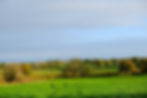 RS3798_S Jameson - rolling hills and lush greenery with hedgerows and trees - Shropshire_s