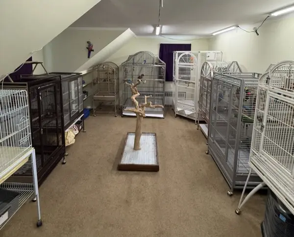 My Bird Boarding Space