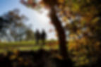 RS2385_Couple walking in a field in the Autumn (1)_scr.jpg