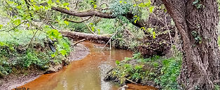 Don Catchment Riverssml.jpg