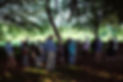 DSCF7993.jpg
