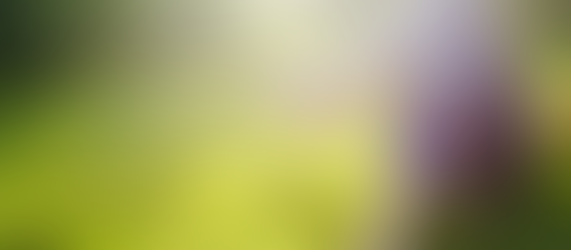 What Is Your Sabbath To Me?