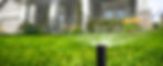 irrigation222.jpg