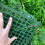 Thumbnail: Artificial Green Plant Living Wall Panel - 100 cm x 100 cm
