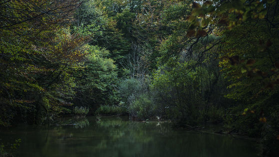 Octubre_020 Ibai Artetxe 2.jpg